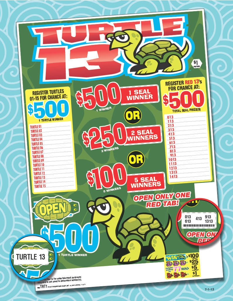 Turtle 13